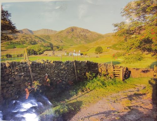 Catherine Inglis photo for painting May 2025.